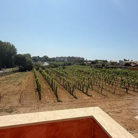 Affittacamere Tenuta Mareale Anzio